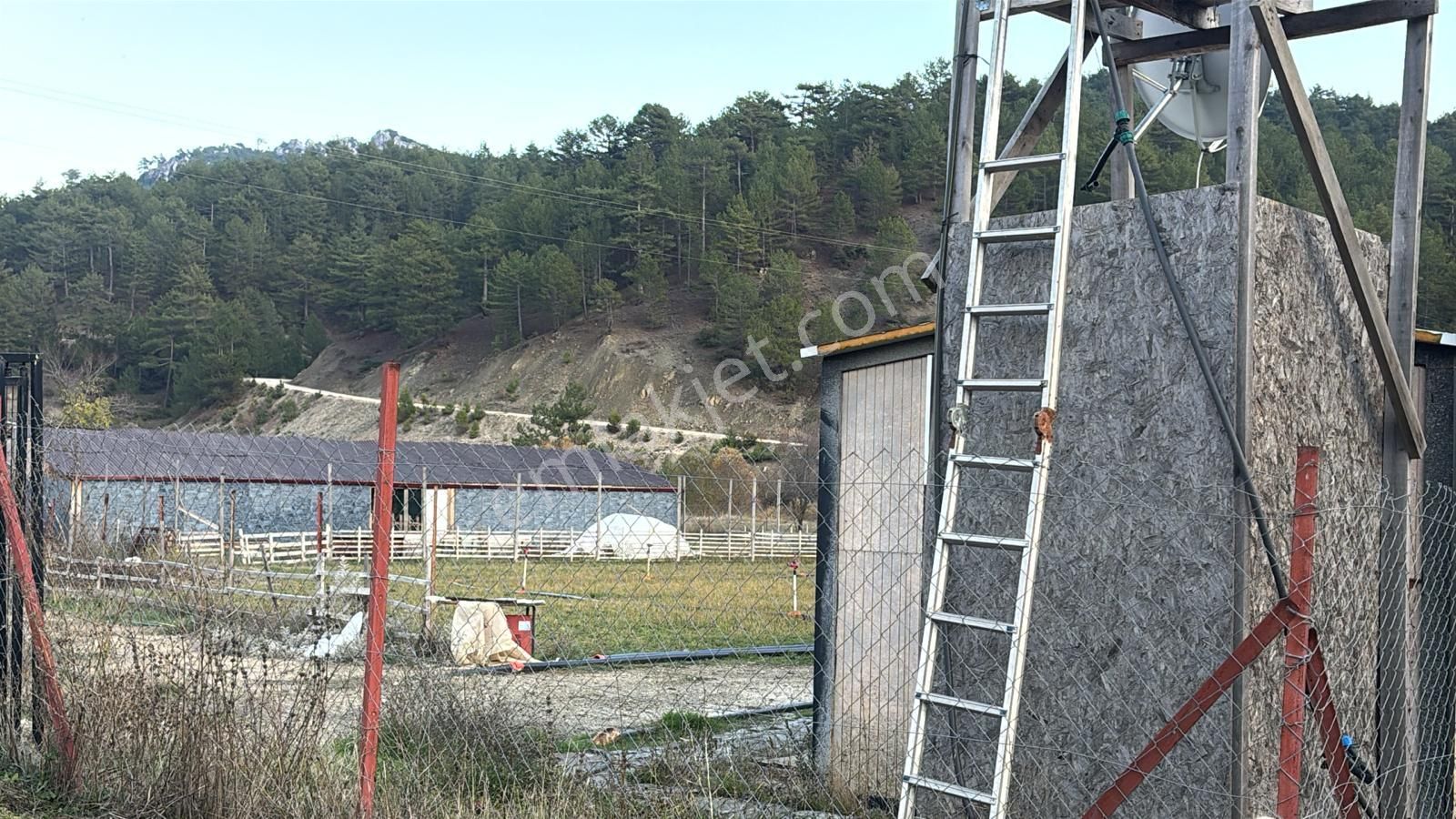Burdur Ağlasun Hisarköyde Satılık Çiftlik Ve Besihane - Görsel 2