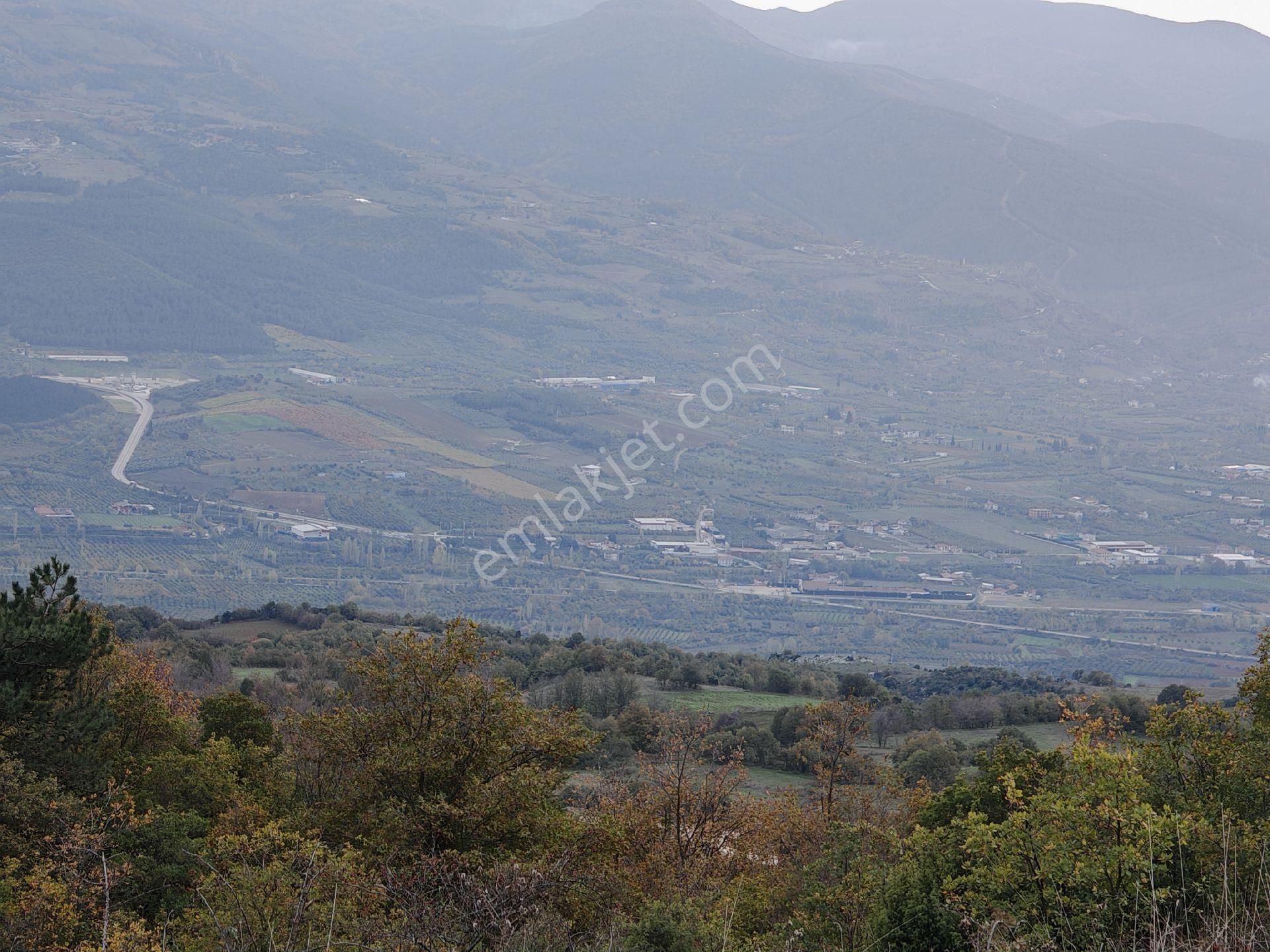 Remax Mavi'den Sakarya Geyve Akkaya'da Manzaralı Satılık Arazi - Görsel 7