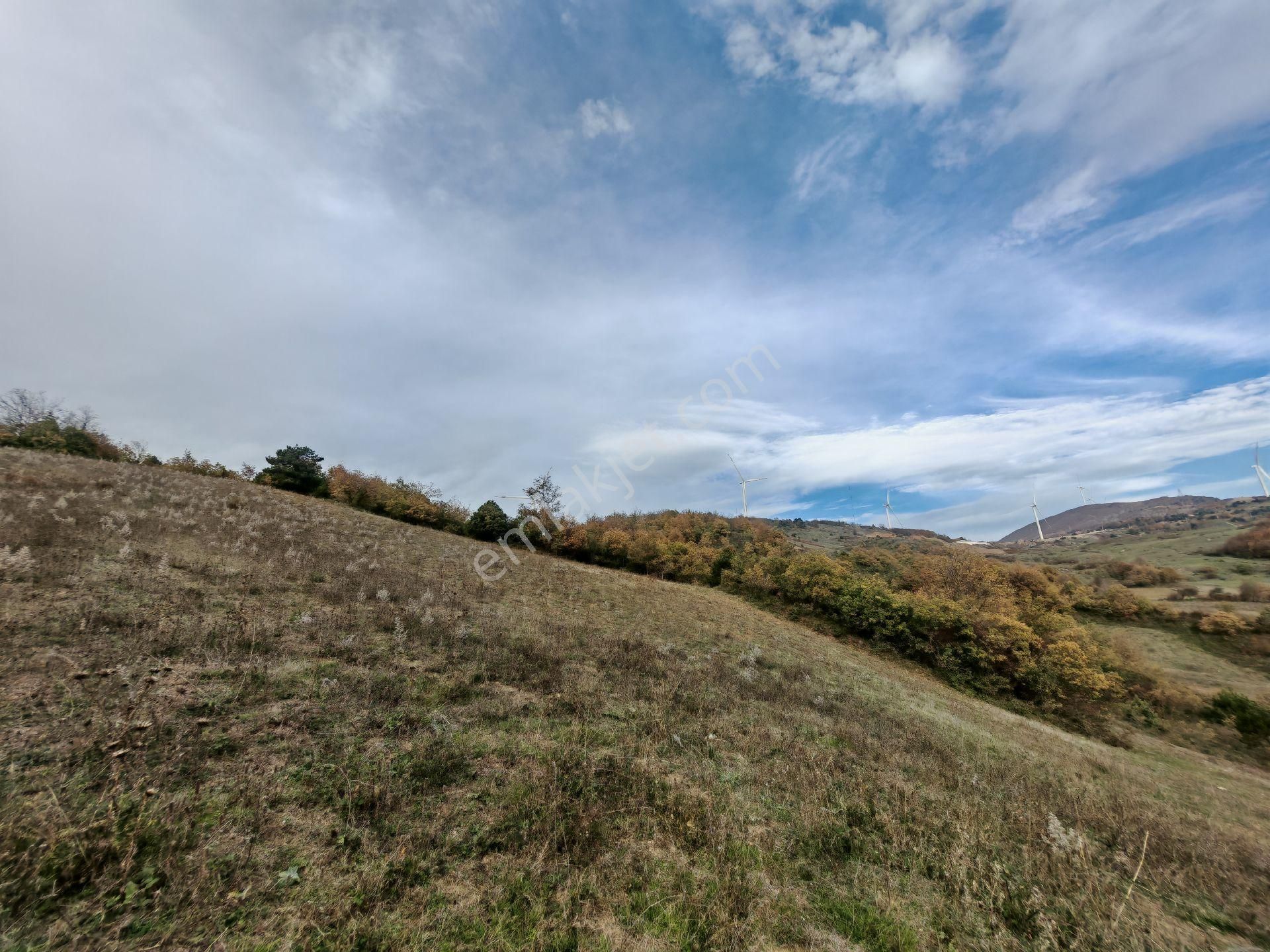 Remax Mavi'den Sakarya Geyve Akkaya'da Manzaralı Satılık Arazi - Görsel 12
