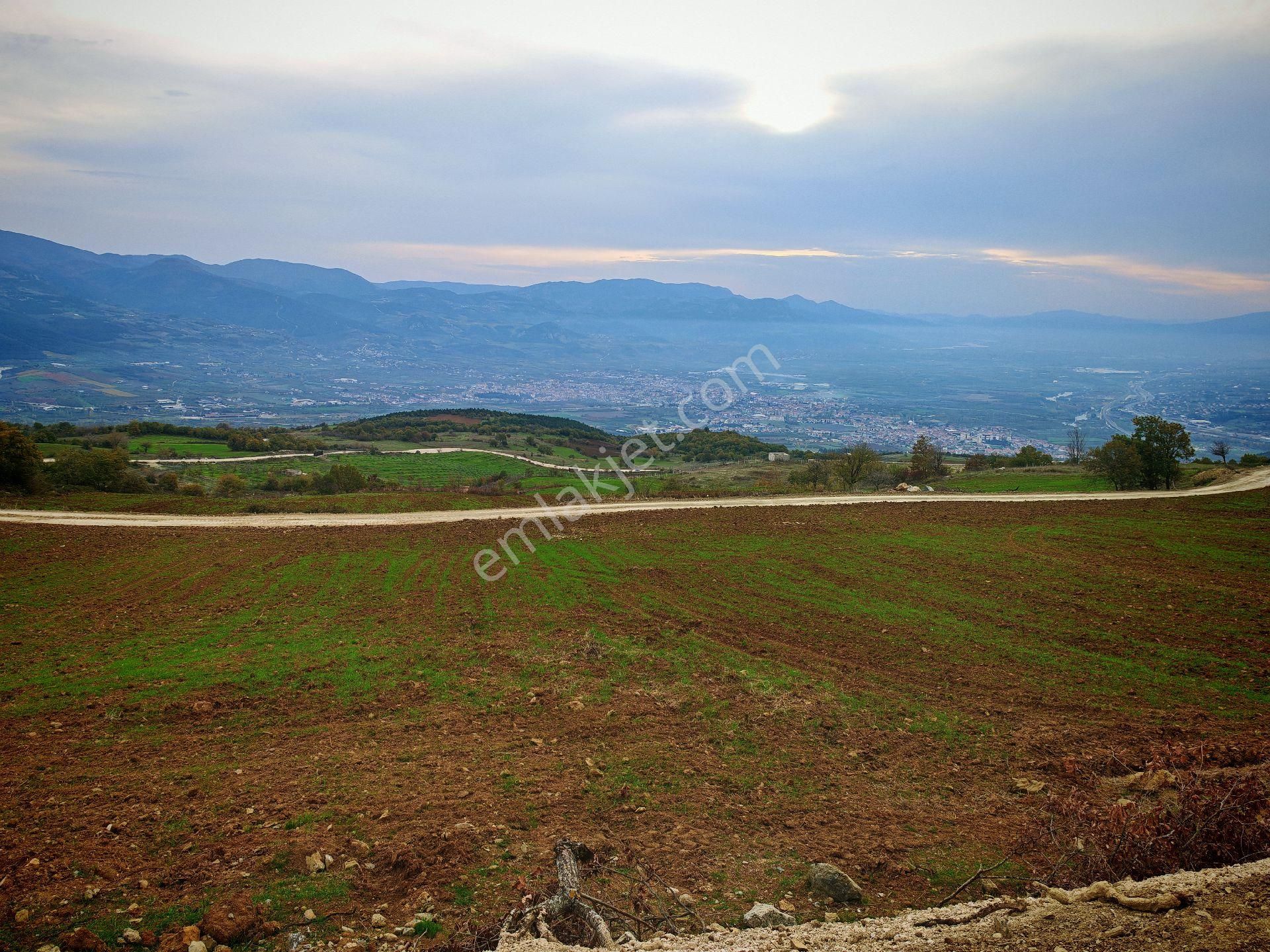 Remax Mavi'den Sakarya Geyve Akkaya'da Manzaralı Satılık Arazi