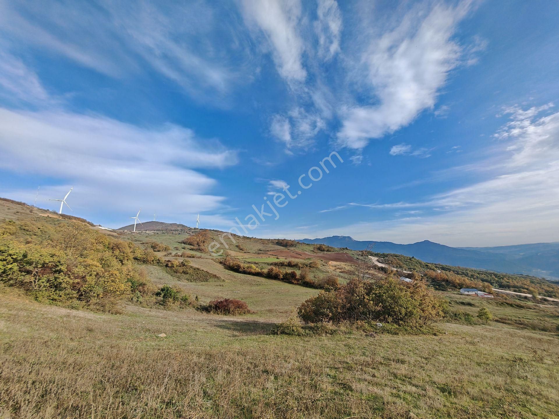 Remax Mavi'den Sakarya Geyve Akkaya'da Manzaralı Satılık Arazi - Görsel 18