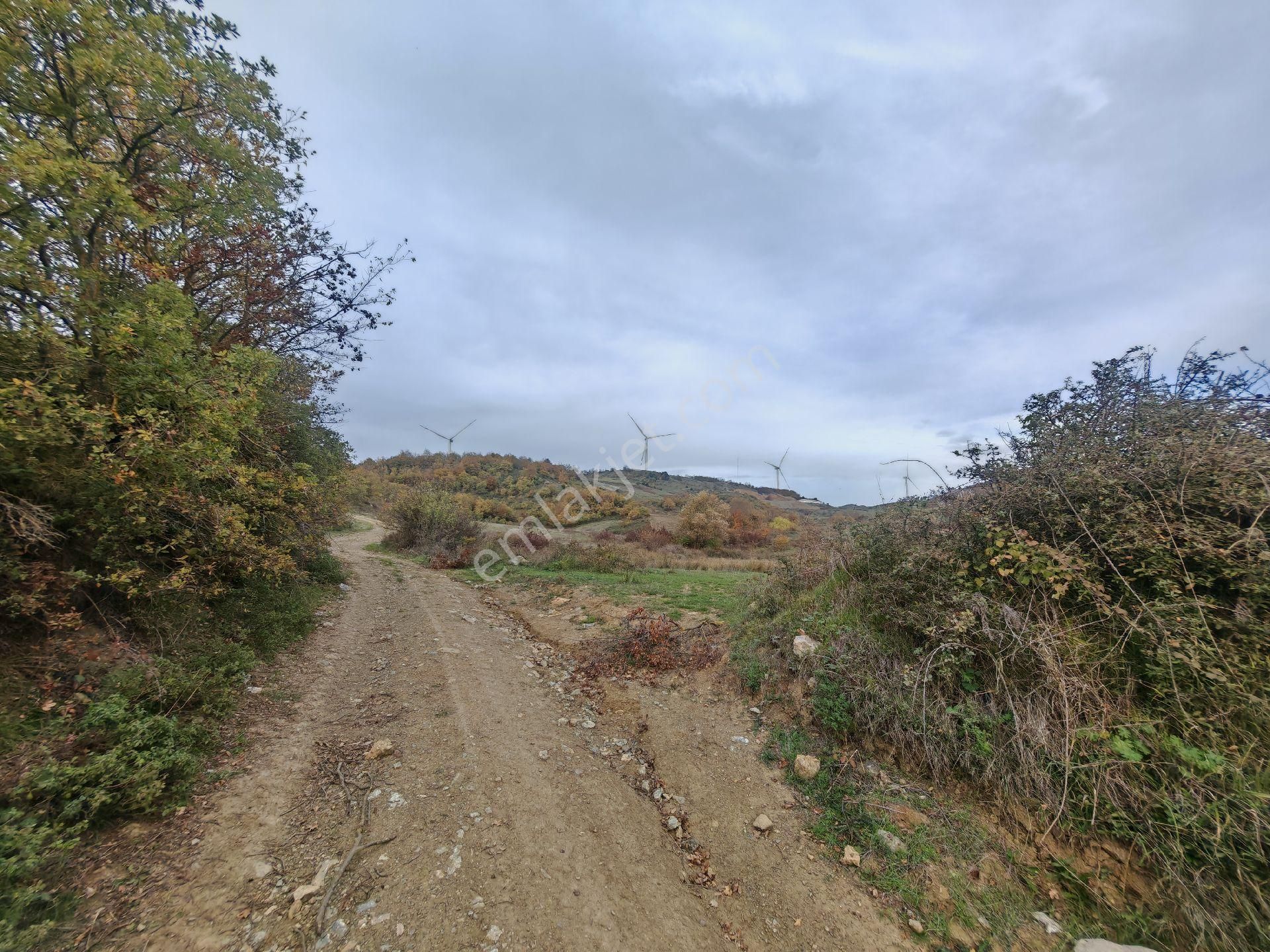 Remax Mavi'den Sakarya Geyve Akkaya'da Manzaralı Satılık Arazi - Görsel 14