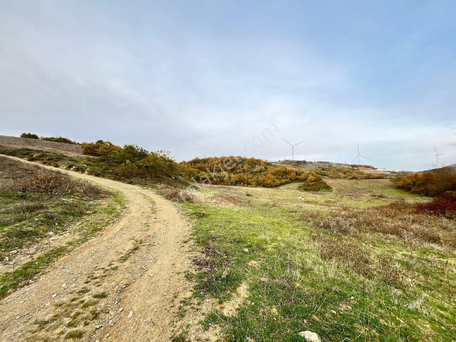 Remax Mavi'den Sakarya Geyve Akkaya'da Manzaralı Satılık Arazi - Görsel 16