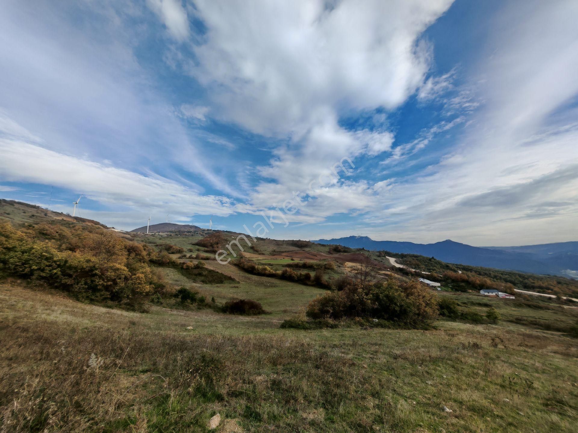 Remax Mavi'den Sakarya Geyve Akkaya'da Manzaralı Satılık Arazi - Görsel 4