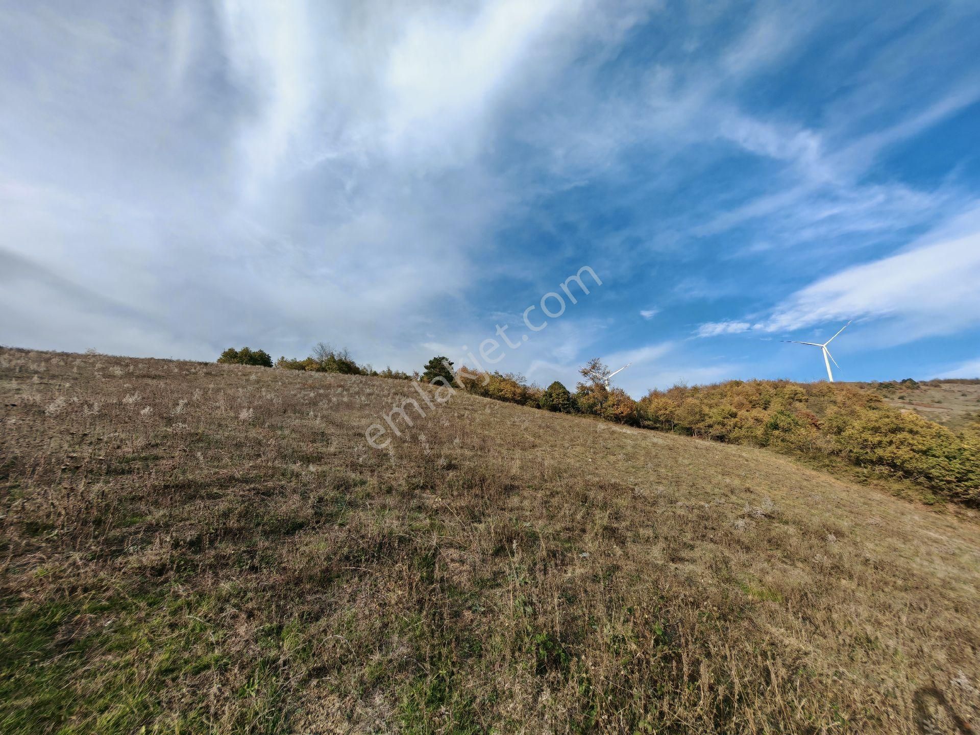 Remax Mavi'den Sakarya Geyve Akkaya'da Manzaralı Satılık Arazi - Görsel 20