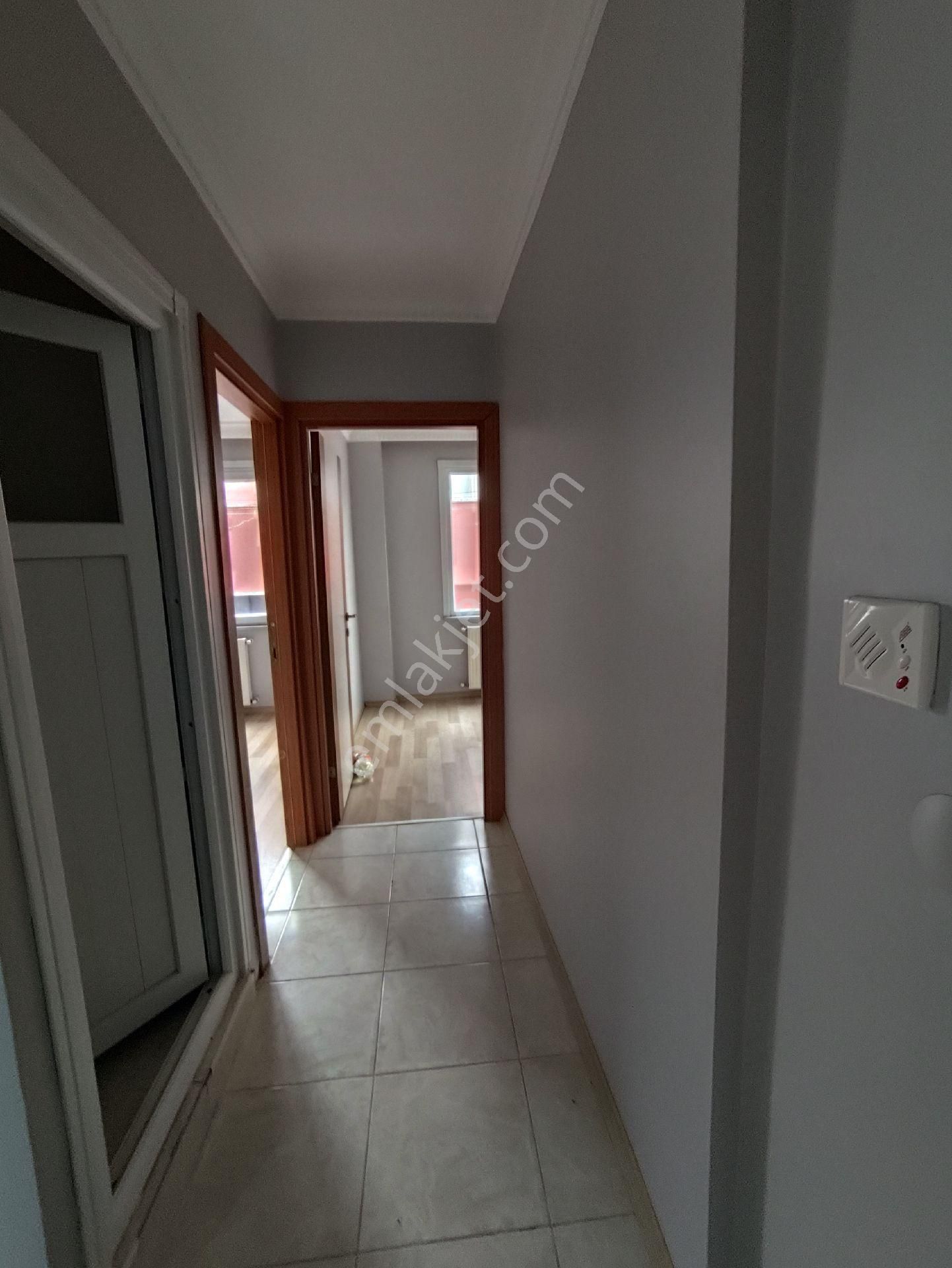 Hastane Okul - Görsel 6