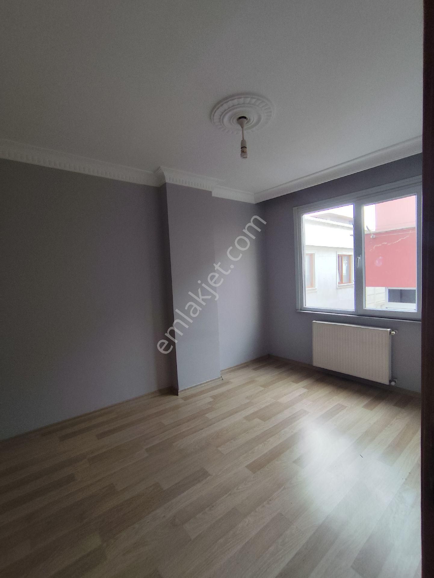 Hastane Okul - Görsel 4