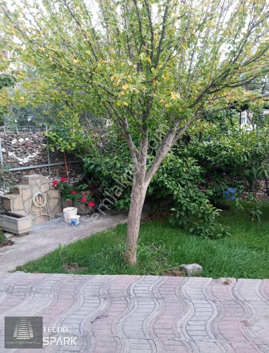 Kiralık Trpleks - Görsel 11