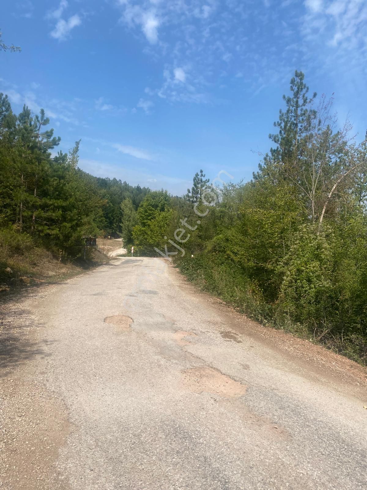 Bursa Kestel Alaçam'da Yola Cephe Fırsat Arazi - Görsel 23