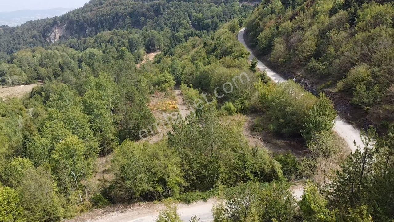 Bursa Kestel Alaçam'da Yola Cephe Fırsat Arazi - Görsel 17