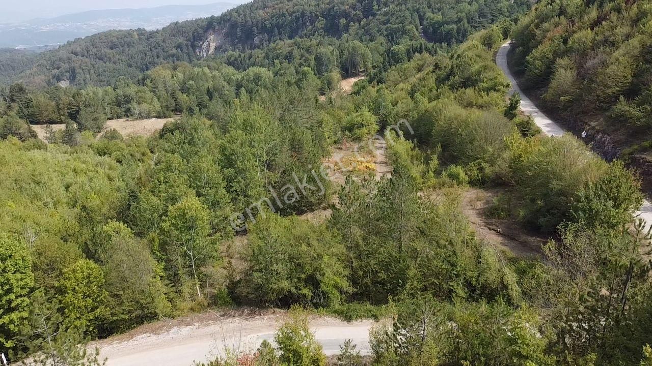 Bursa Kestel Alaçam'da Yola Cephe Fırsat Arazi - Görsel 9