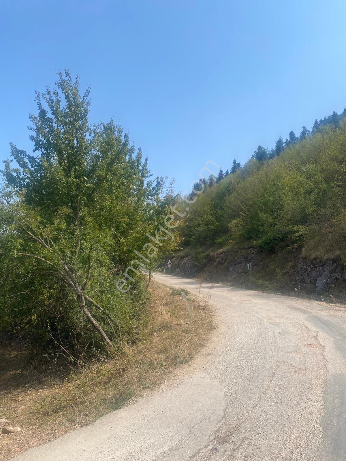 Bursa Kestel Alaçam'da Yola Cephe Fırsat Arazi - Görsel 18