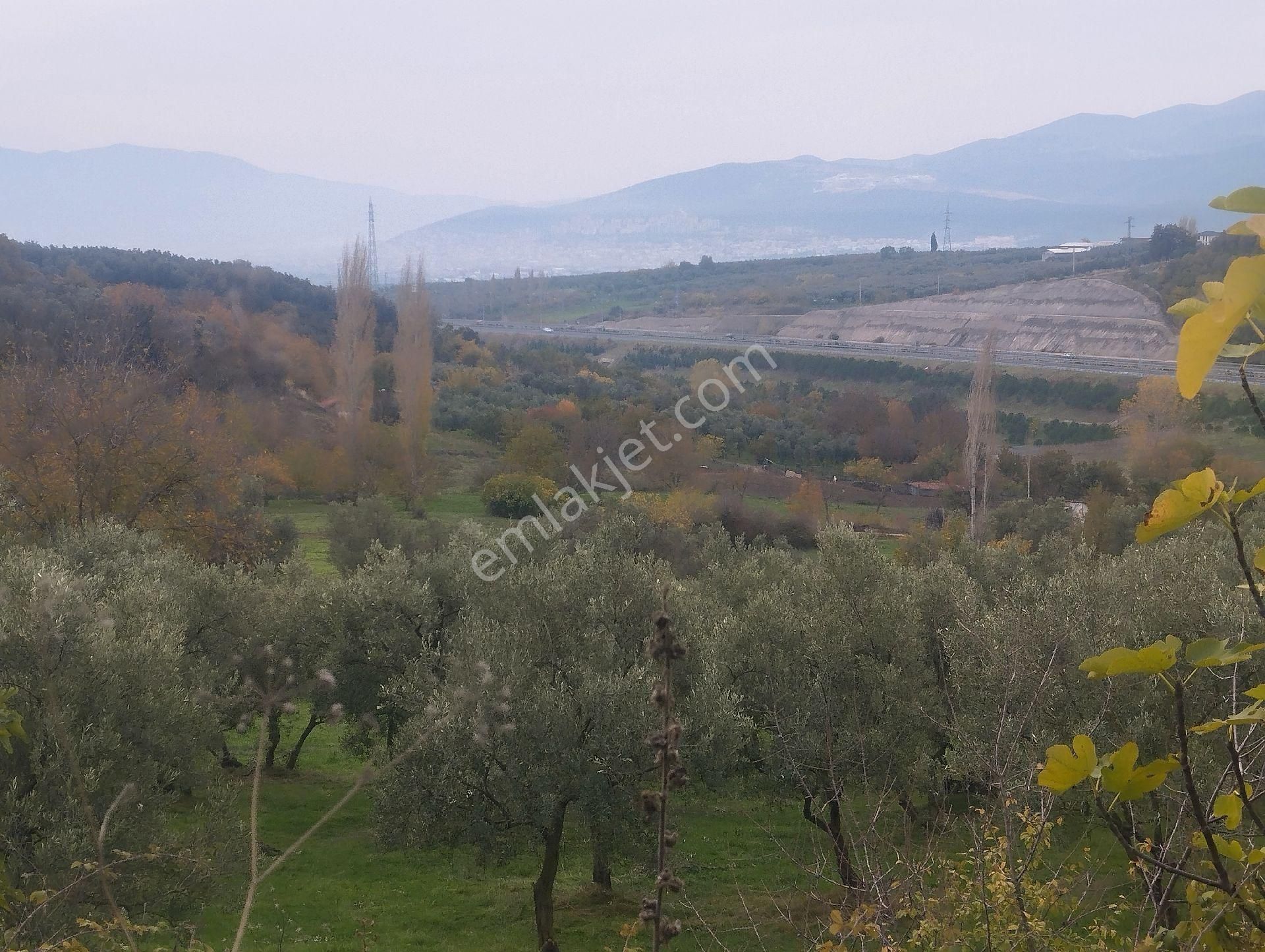 Beka Gayrimenkul Den