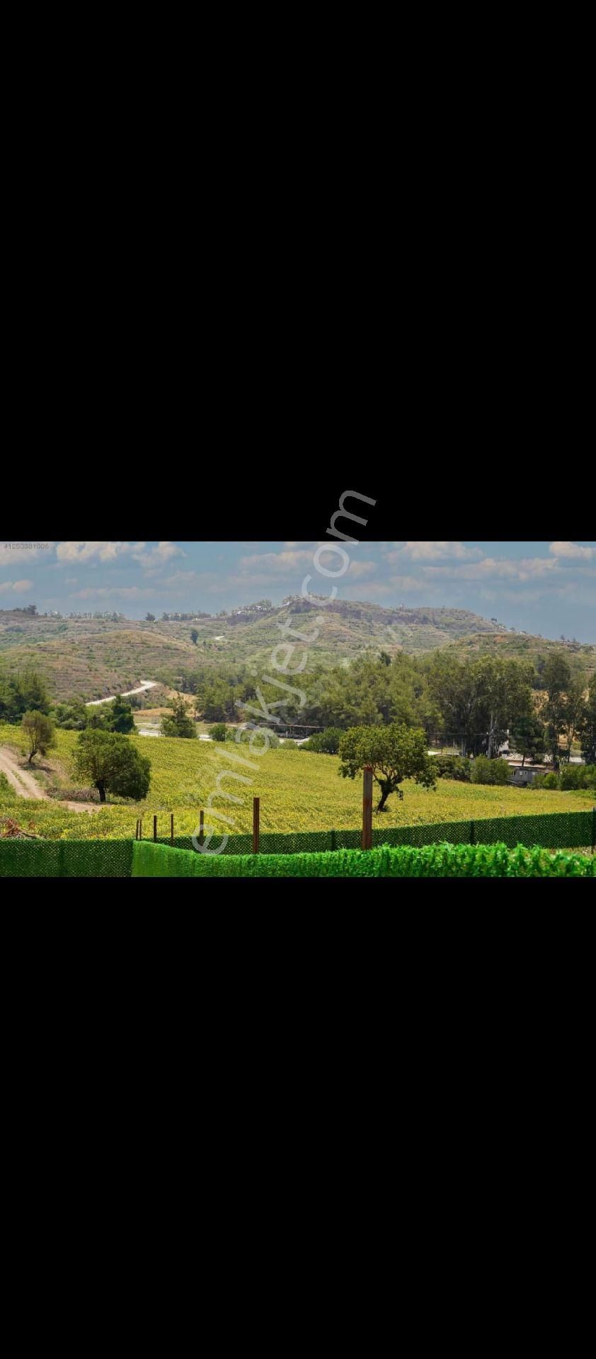 Yatırımlık Ve Yasamalık Mustakıl Evler - Görsel 10