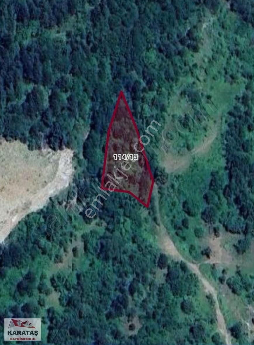 İnegöl Esenköyde Resmi Yola Cephe Satılık Tarla