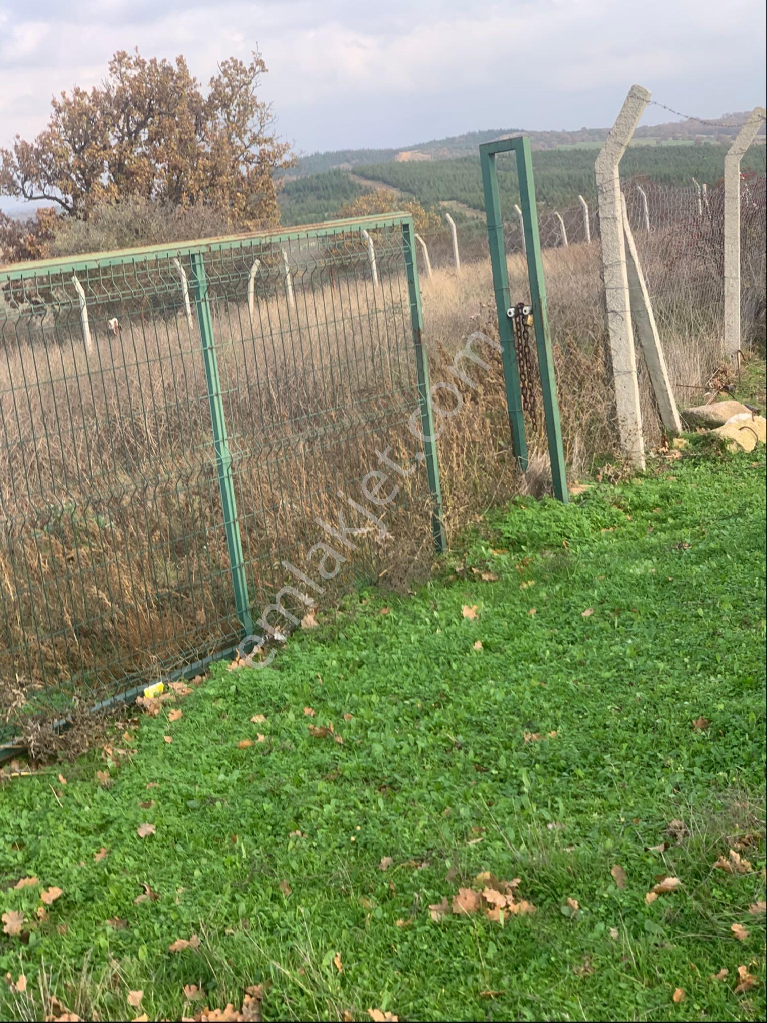 Kırklareli Kofçaz Kocatarla Satilik Tarla - Görsel 19