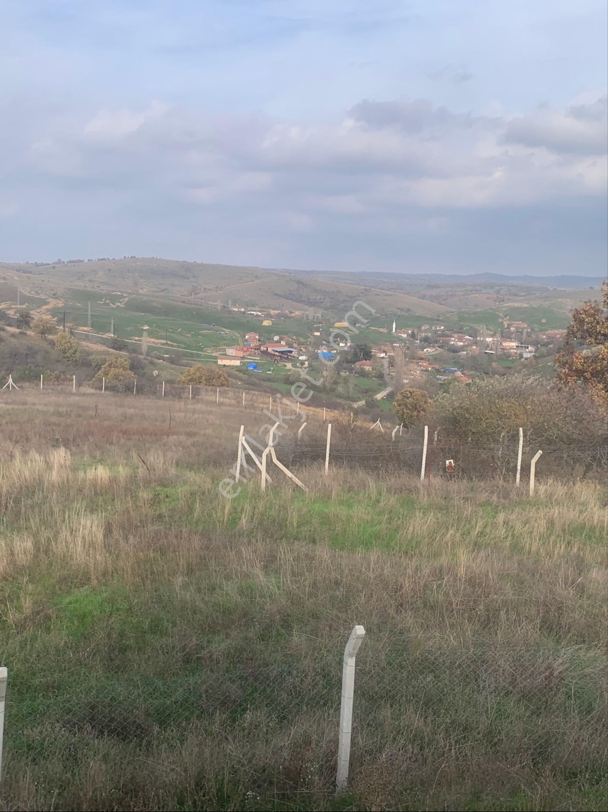 Kırklareli Kofçaz Kocatarla Satilik Tarla - Görsel 4