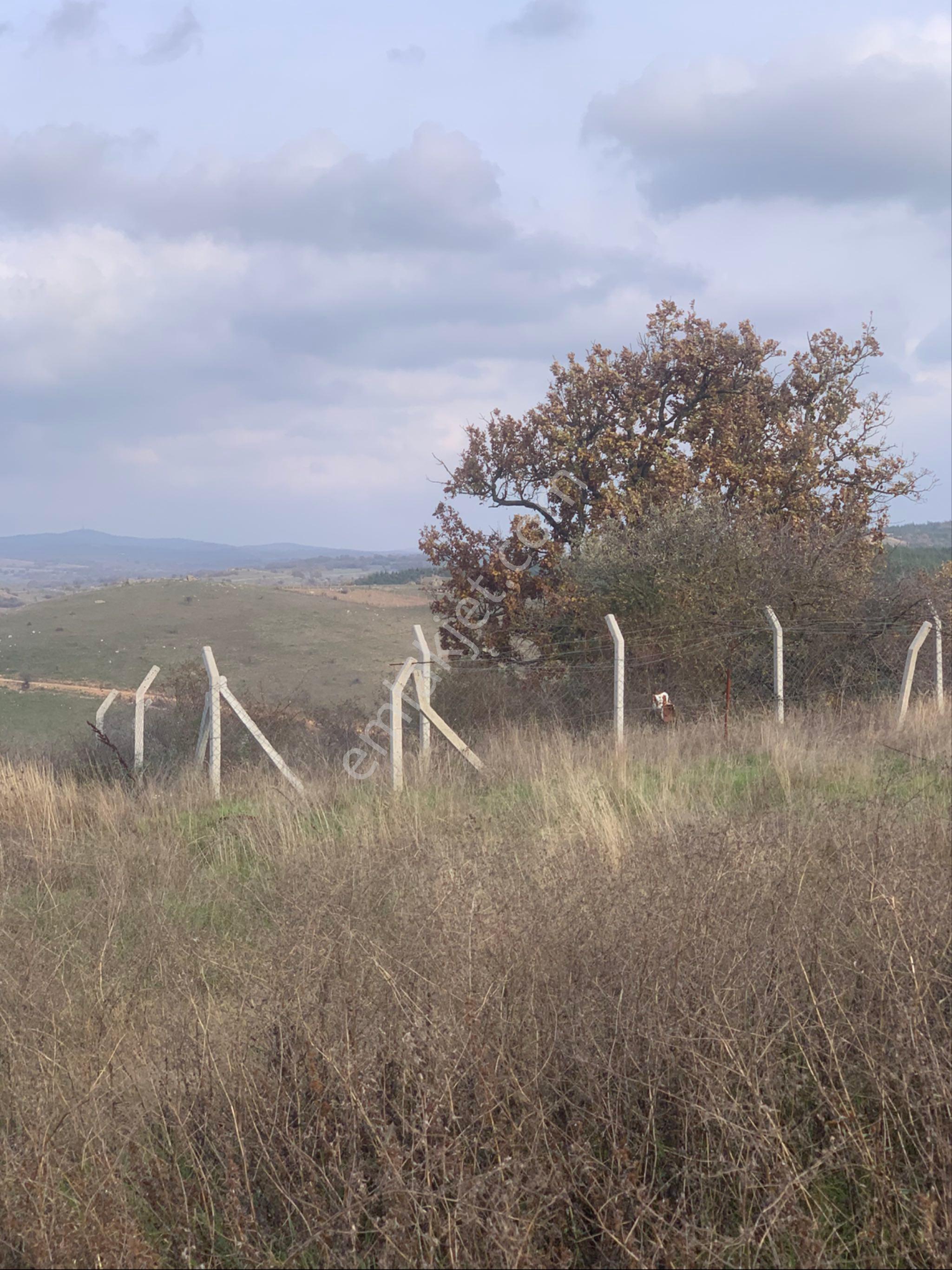 Kırklareli Kofçaz Kocatarla Satilik Tarla - Görsel 17