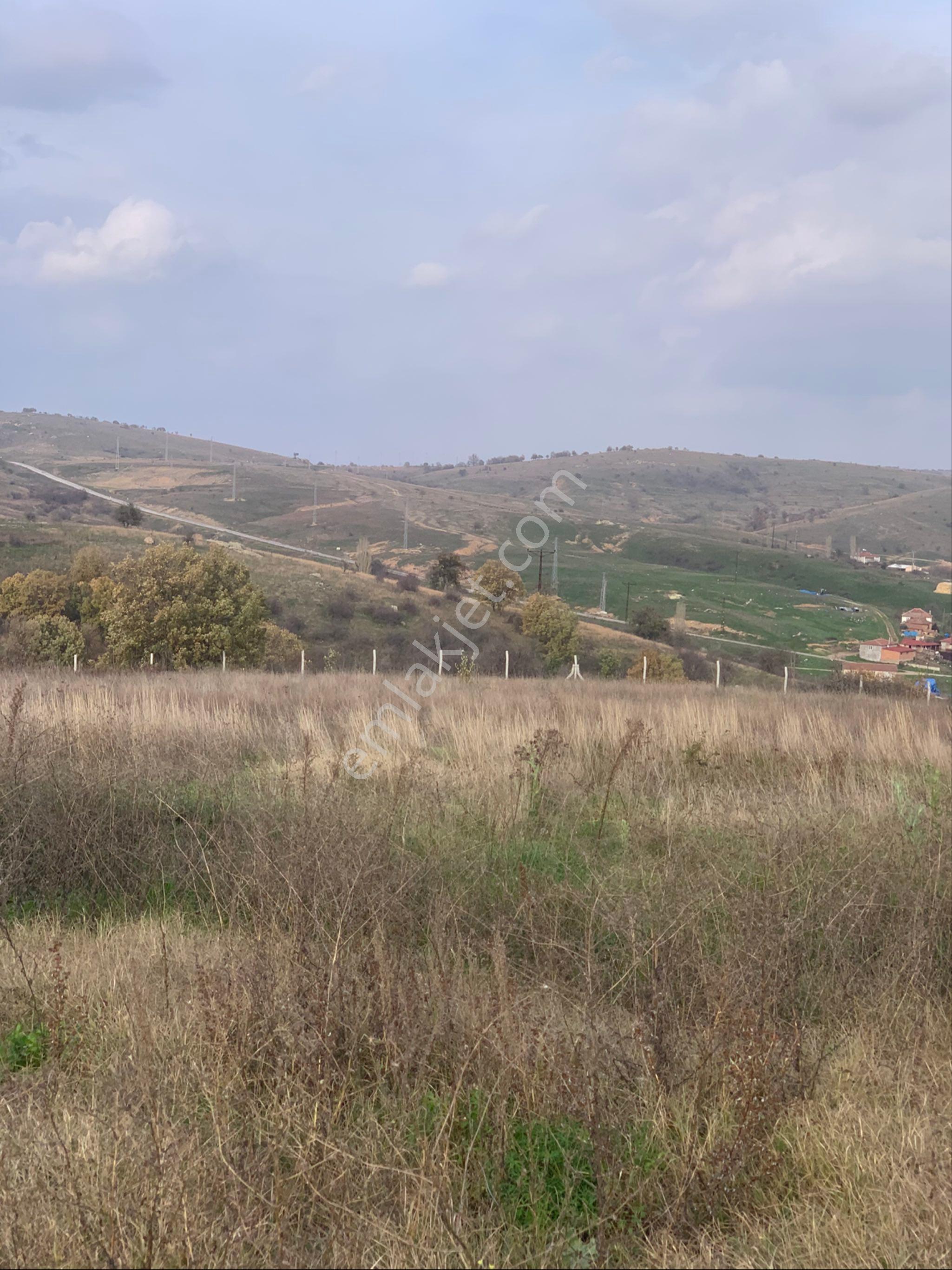 Kırklareli Kofçaz Kocatarla Satilik Tarla - Görsel 15
