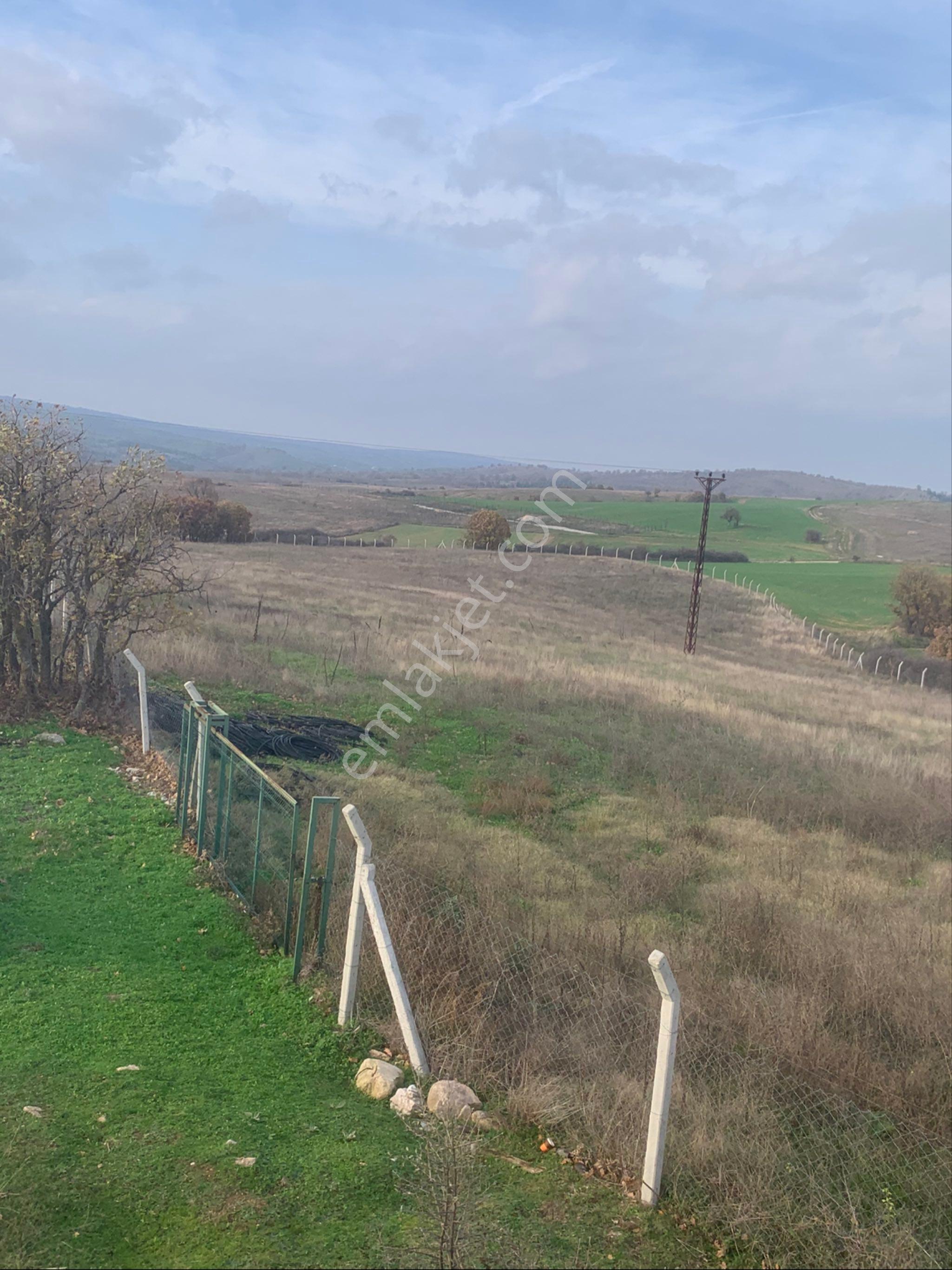 Kırklareli Kofçaz Kocatarla Satilik Tarla - Görsel 7