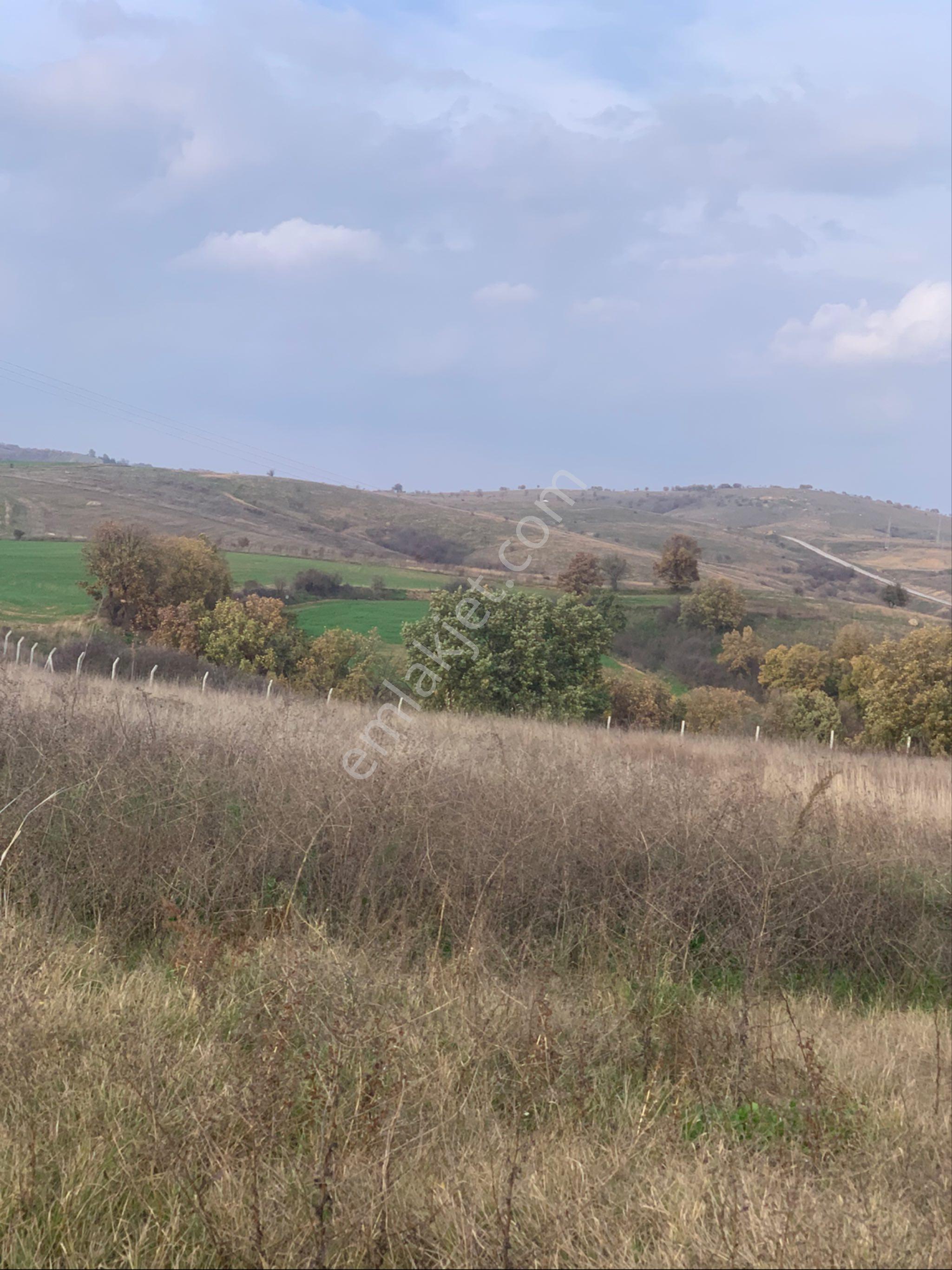 Kırklareli Kofçaz Kocatarla Satilik Tarla - Görsel 14