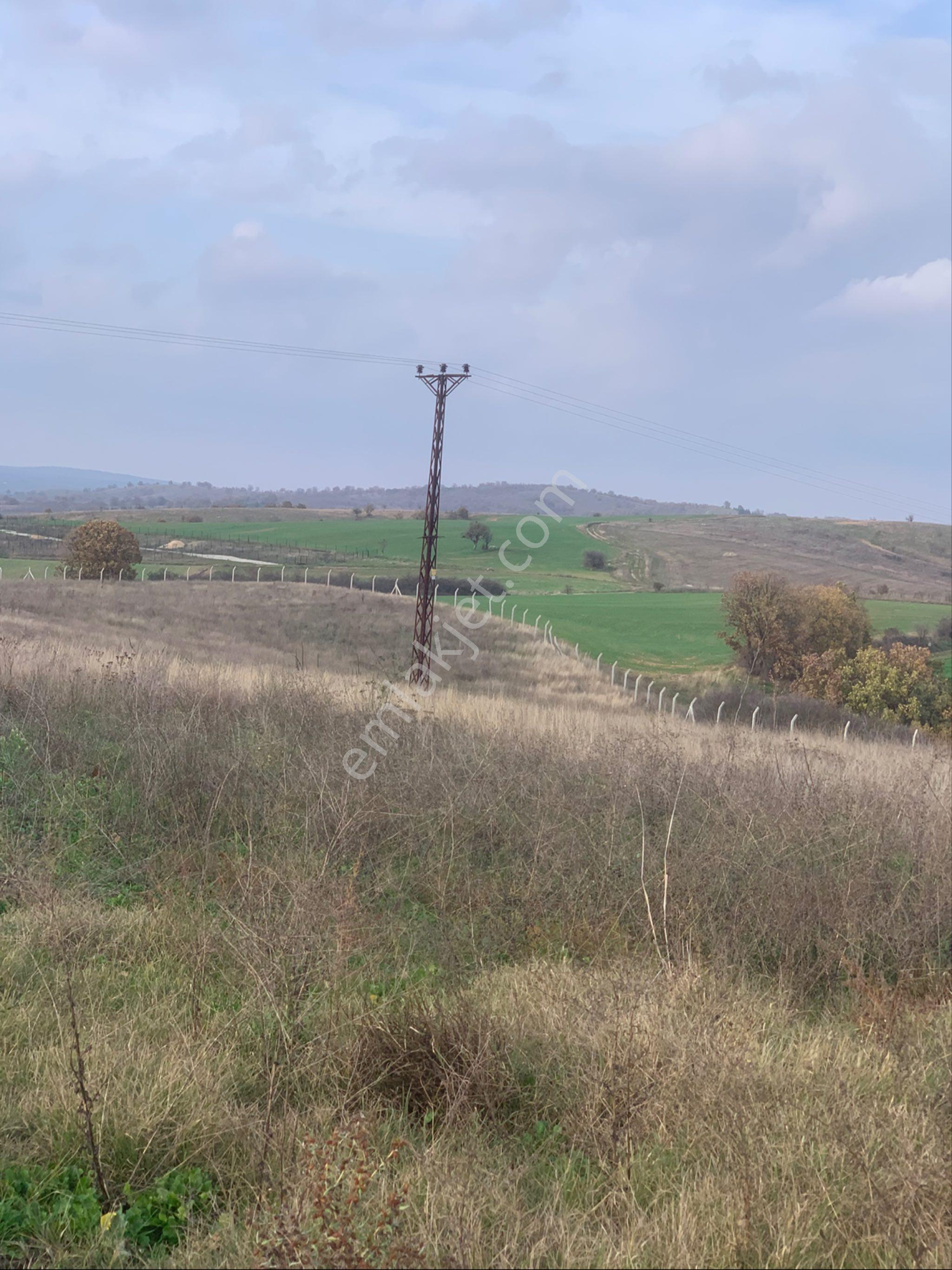Kırklareli Kofçaz Kocatarla Satilik Tarla - Görsel 13