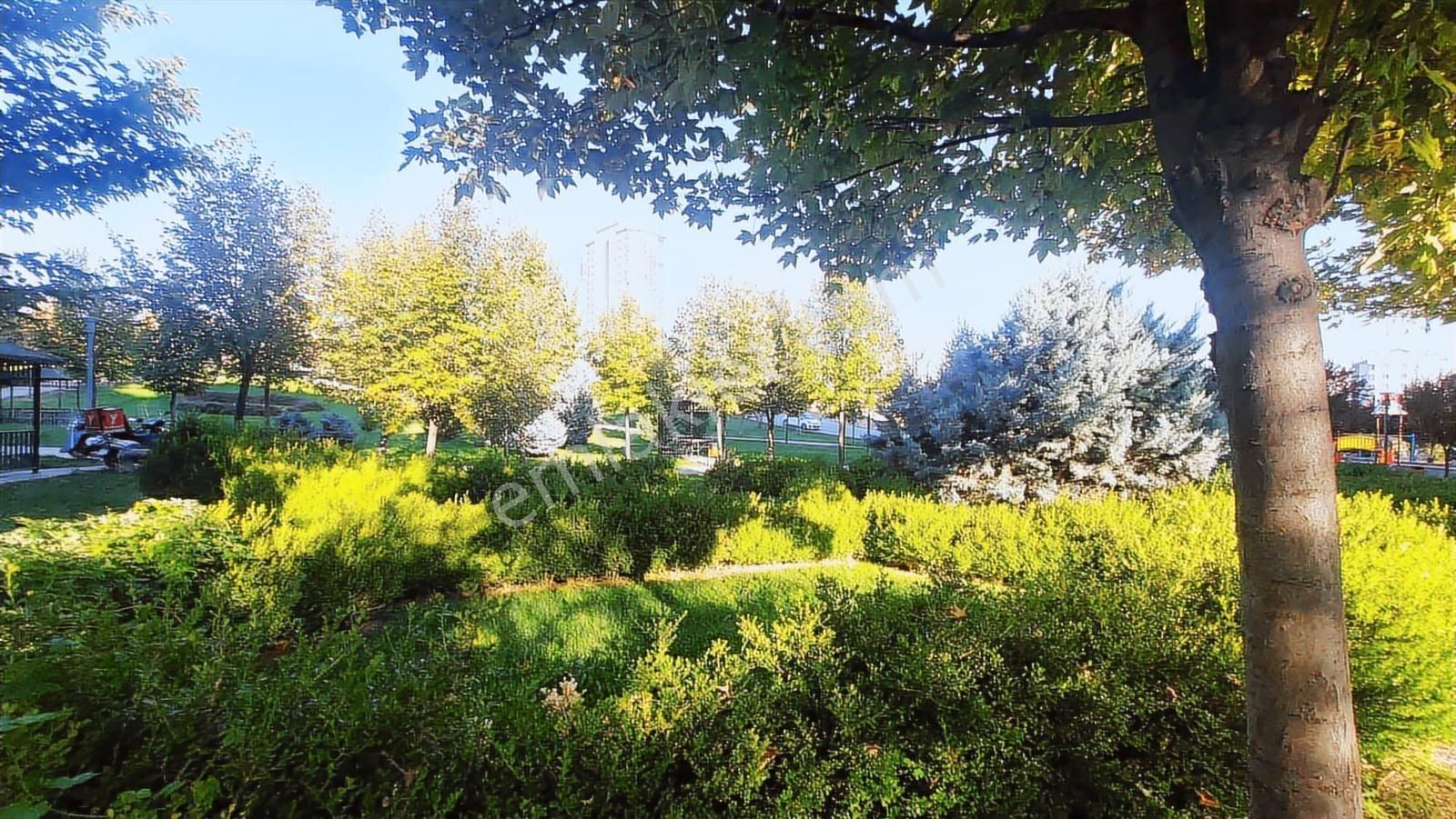 ''eryaman Efor''dan Asansörlü,kombili,arakat 3+1 Kiralık Daire..