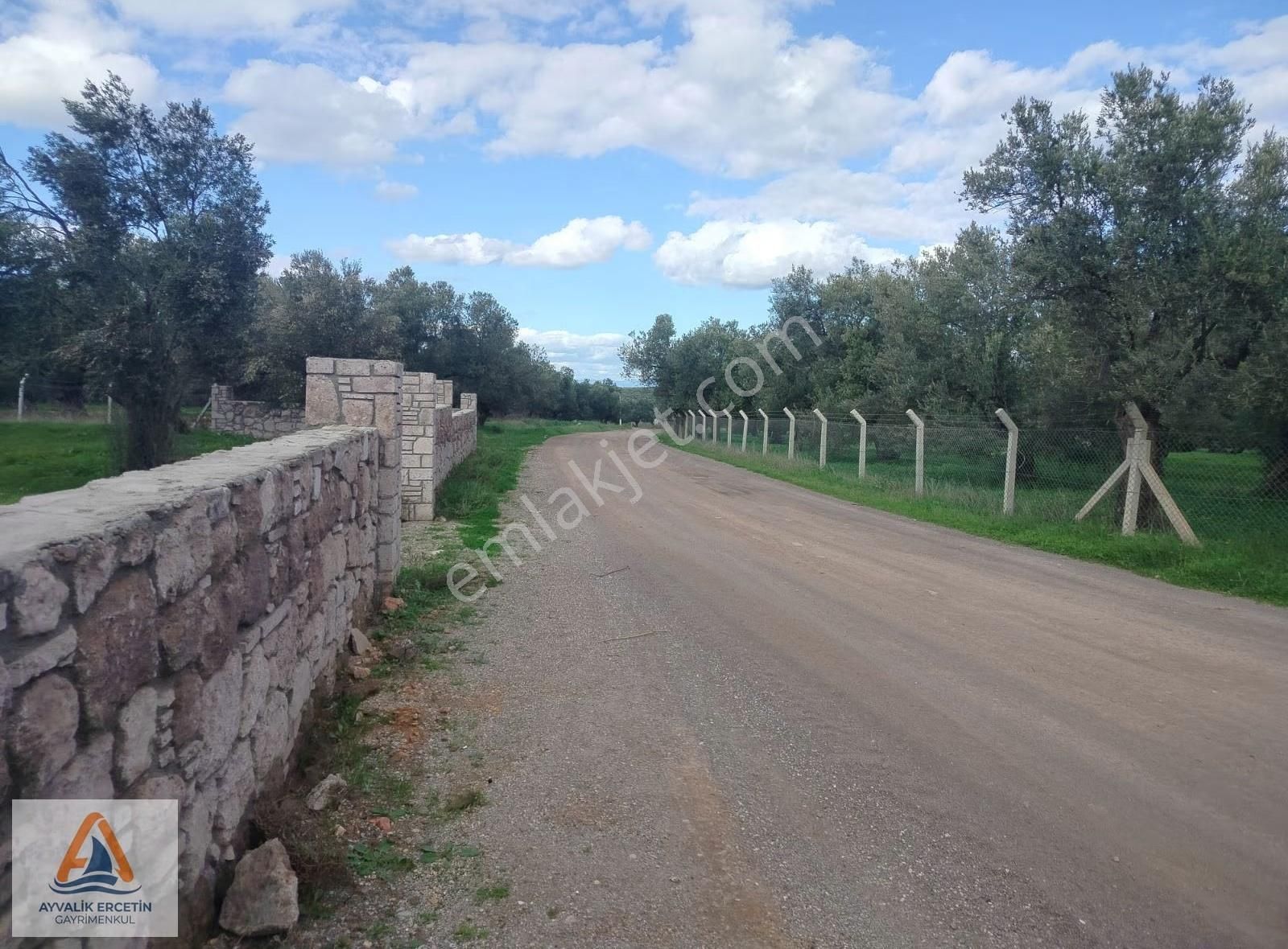 Ayvalık Merkeze Sadece 1.5 Km Yol Üstü Zeytinlik - Görsel 6