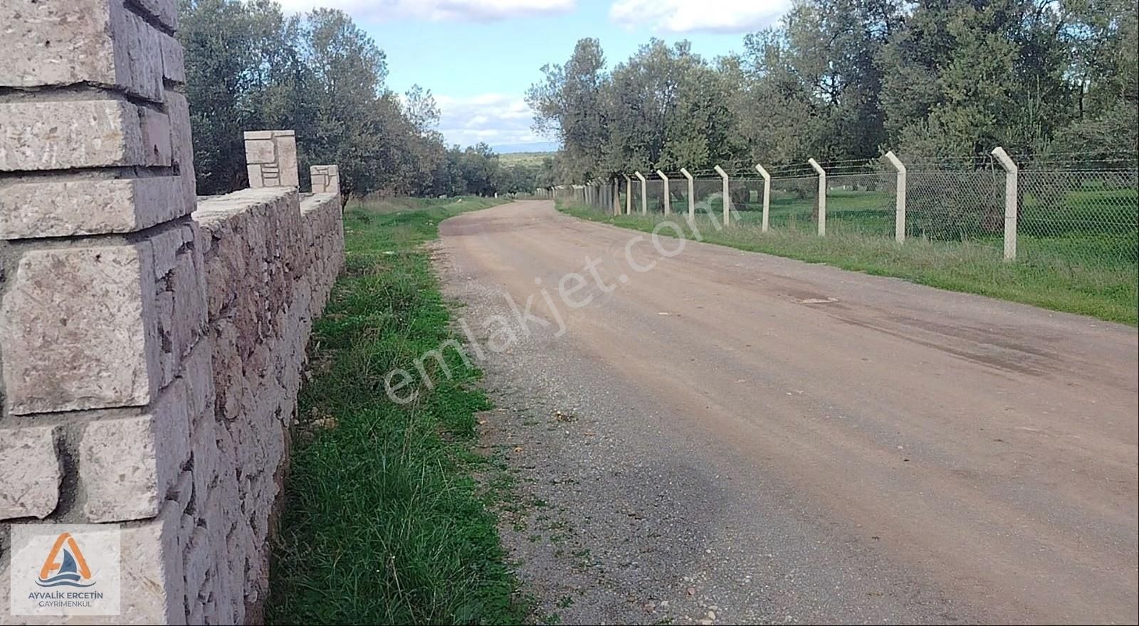 Ayvalık Merkeze Sadece 1.5 Km Yol Üstü Zeytinlik - Görsel 29