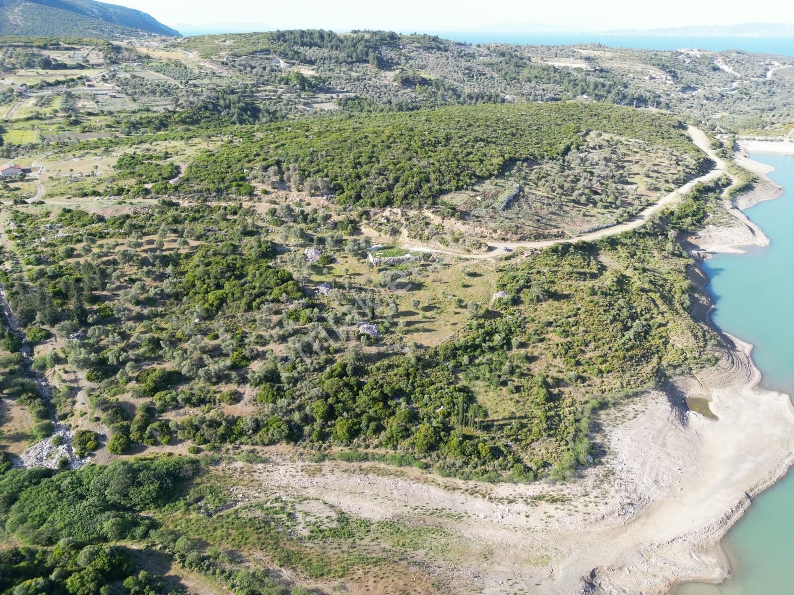 Karaburun Eğlenhoca Köyünde Baraj Manzaralı Fırsat Arazi - Görsel 8