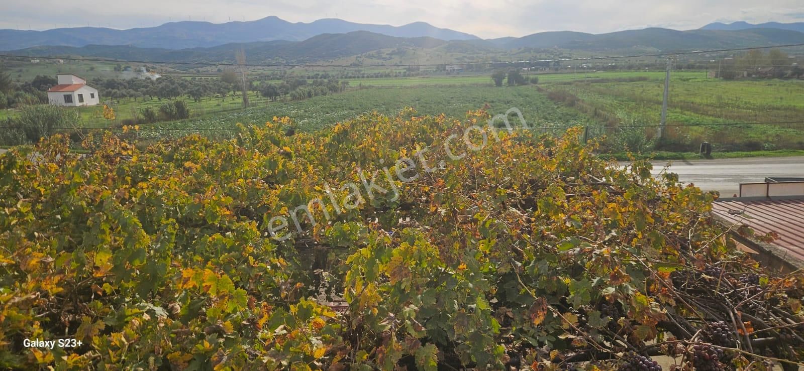 Tire–torbalı Yoluna Cephe 251m² 4+1 Ev + 4 Dükkan + Depo + Garaj - Görsel 4