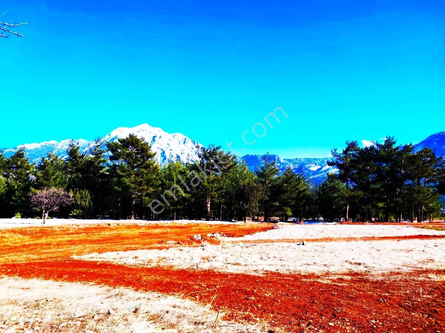 Kar Emlaktan Yenikonacık Efes Sitesinin Altında 320 M2 Satılık Hisseli Arsa - Görsel 33