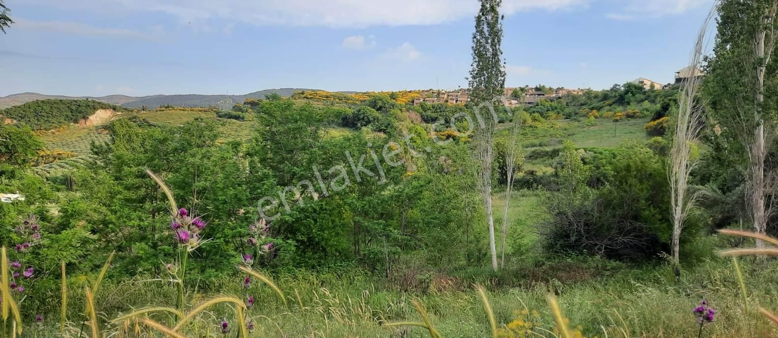 Golf Resort Bitişiği Satılık 46.526m2 Arsa - Görsel 5