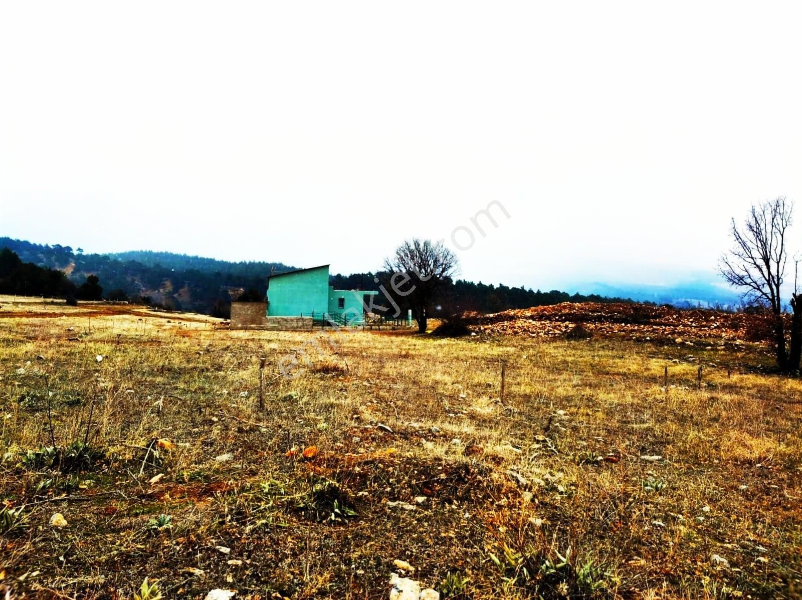 Kar Emlaktan Alpu Yaylasında 400 M2 Satılık Arsa - Görsel 24