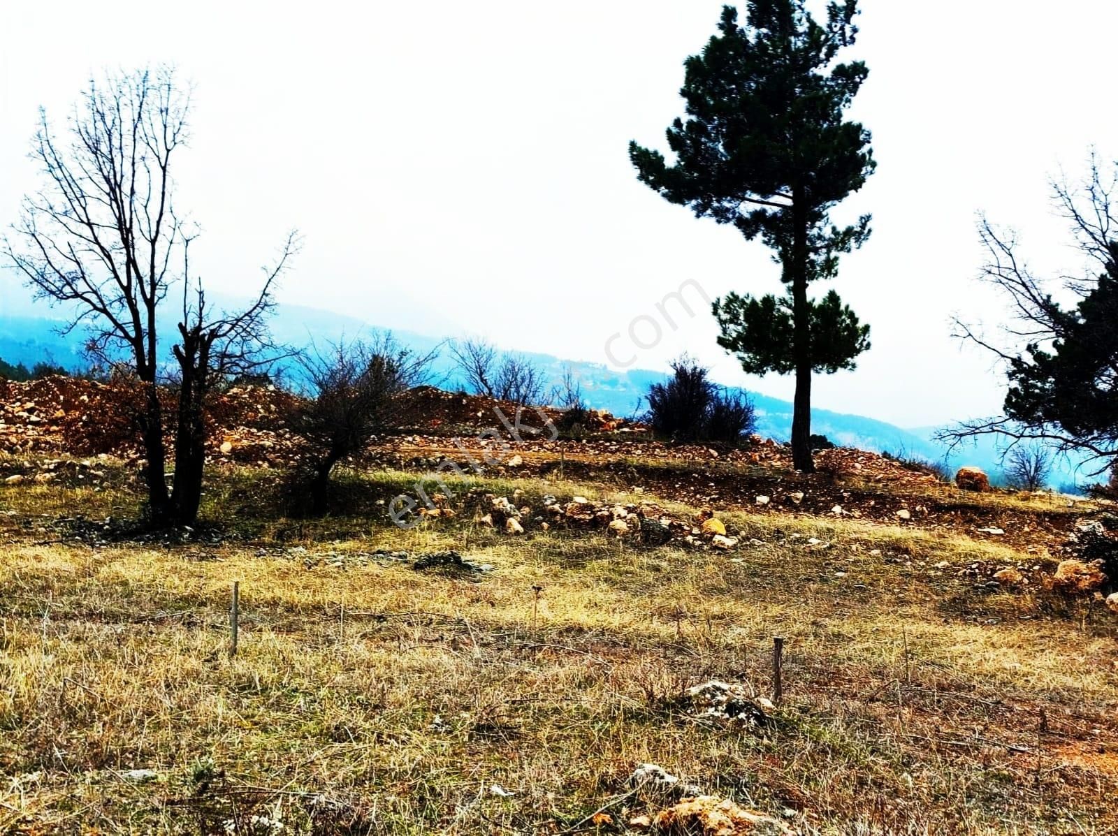 Kar Emlaktan Alpu Yaylasında 400 M2 Satılık Arsa - Görsel 16