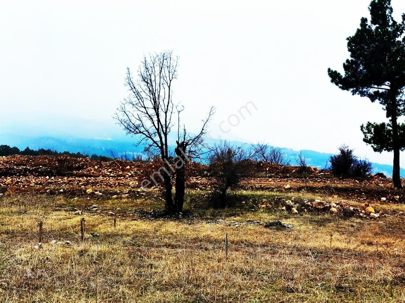 Kar Emlaktan Alpu Yaylasında 400 M2 Satılık Arsa - Görsel 19