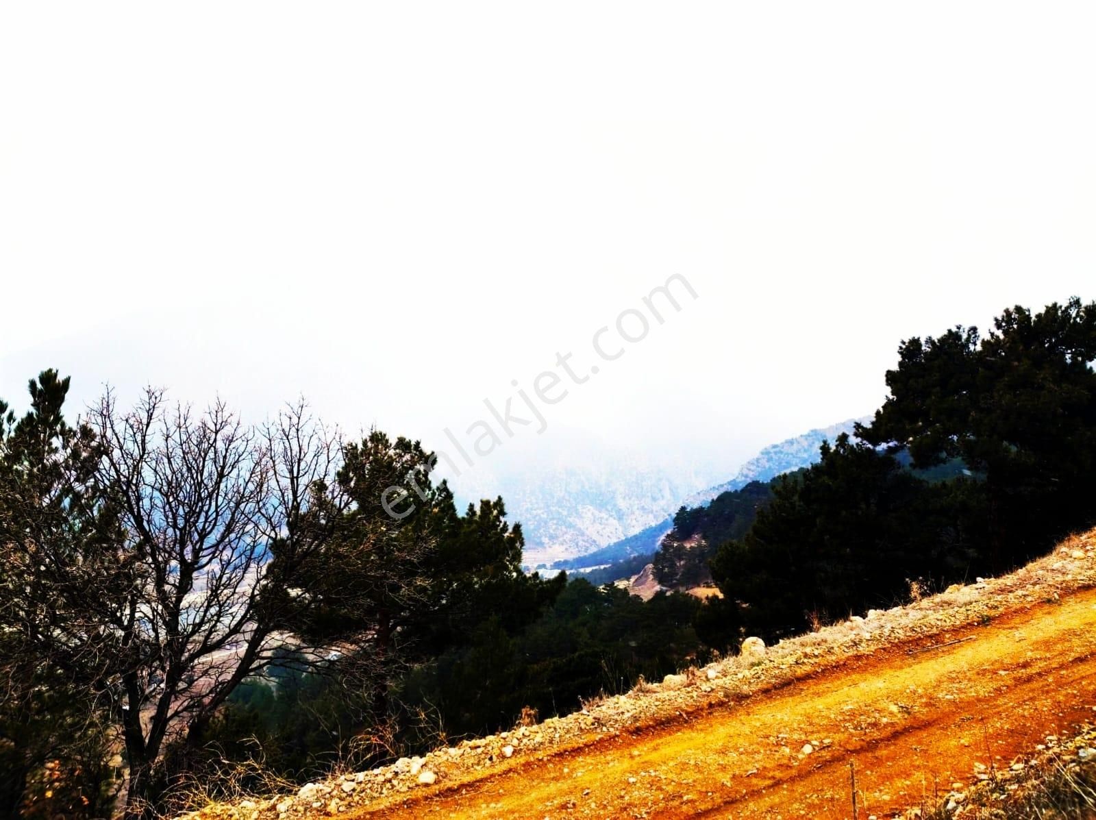 Kar Emlaktan Alpu Yaylasında 400 M2 Satılık Arsa - Görsel 25