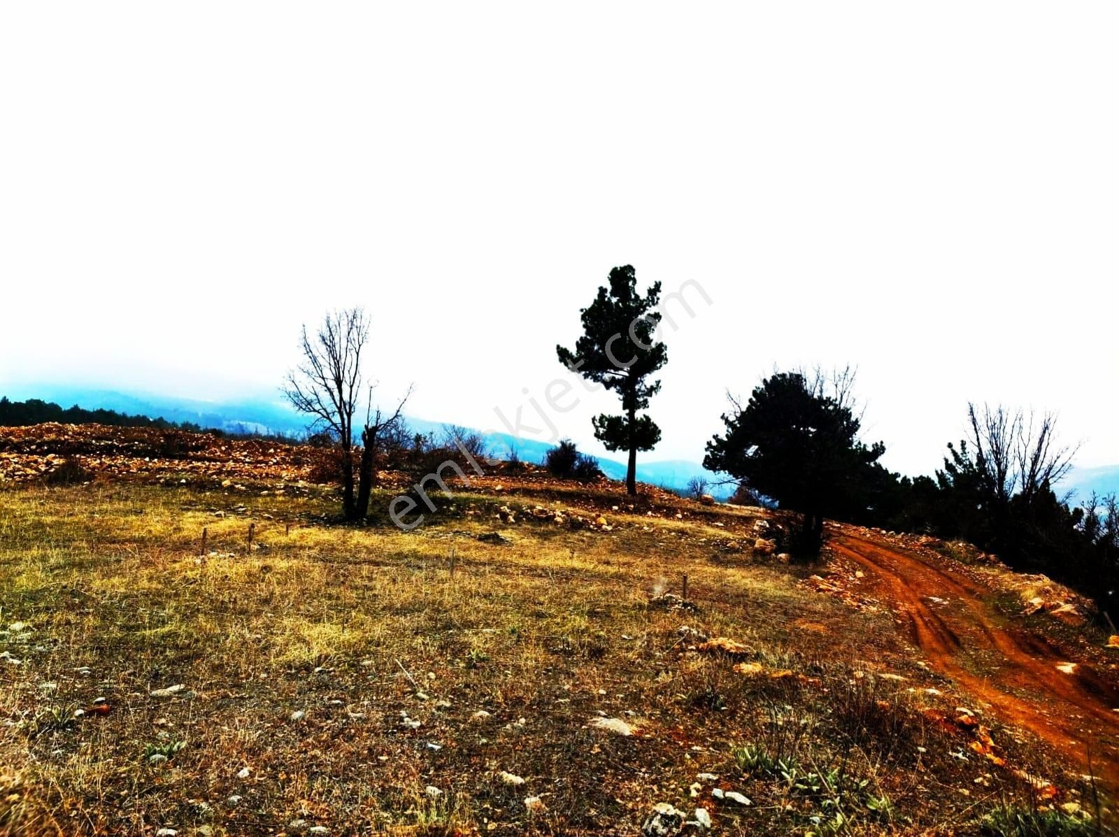 Kar Emlaktan Alpu Yaylasında 400 M2 Satılık Arsa - Görsel 27