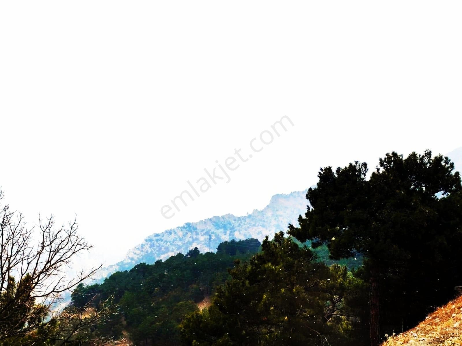 Kar Emlaktan Alpu Yaylasında 400 M2 Satılık Arsa - Görsel 2