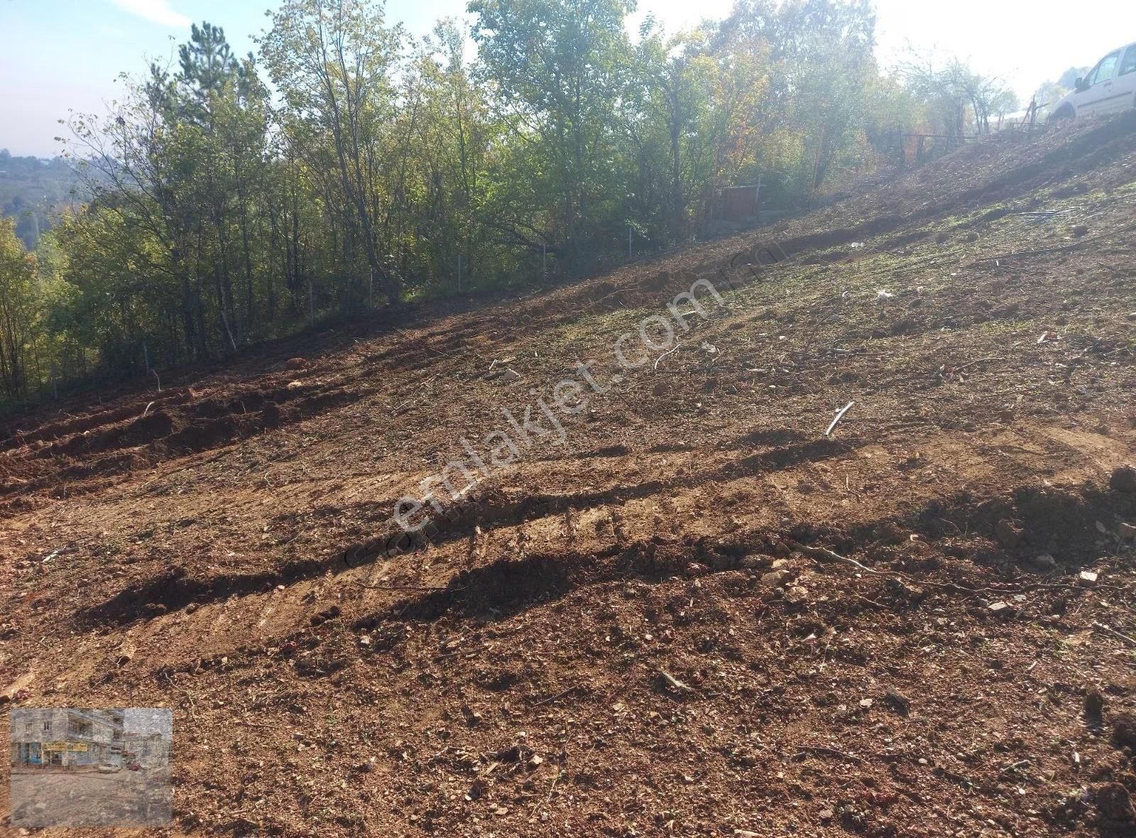 Yenisehir Osmaniye Mahallesinde - Görsel 19