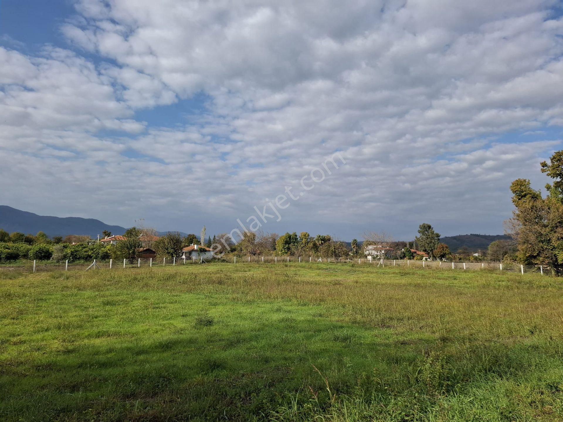 Köyceğiz Döğüşbelende Anayol Üzeri Kiralık Daireler - Görsel 14