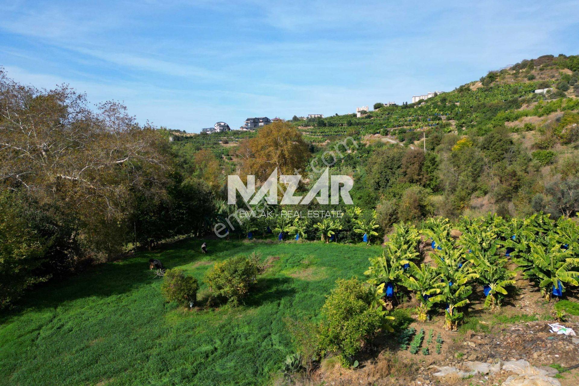 Alanya Kargıcak’ta Satılık 196 M² Hisseli İmarlı Arsa - Görsel 20