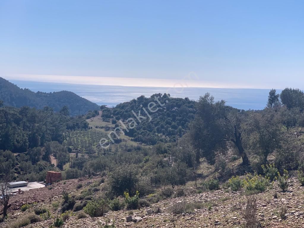 Goldhouse Dan Karaağaç Kirme De Satılık Deniz Manzaralı Tarla