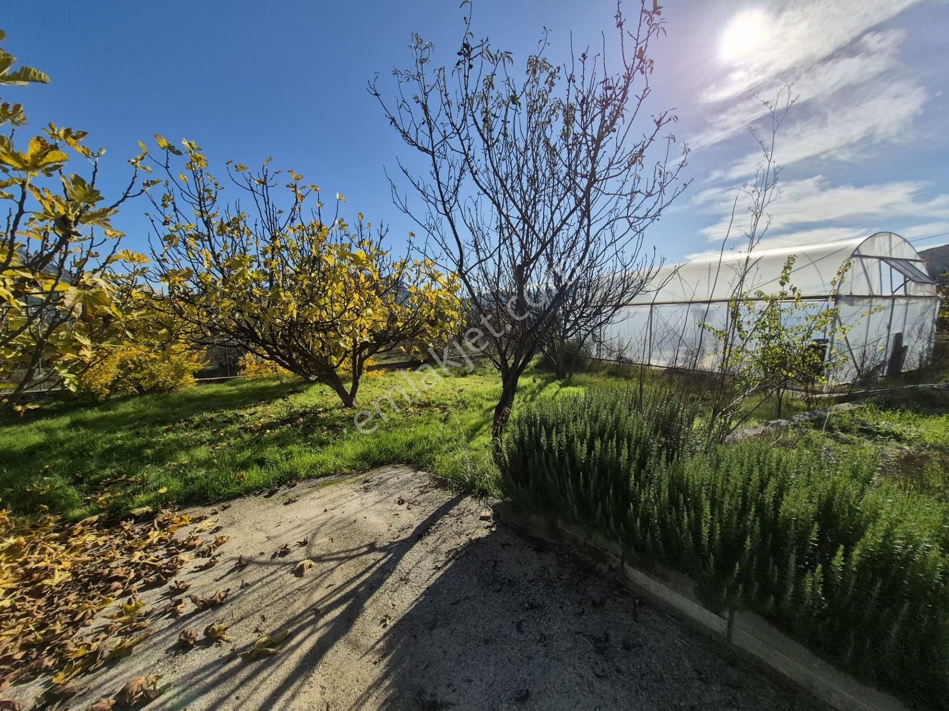 Goldhouse Dan Satılık İncirköy De Fırsat 4260m2 İçinde 2 Adet Müstakil Konut - Görsel 3