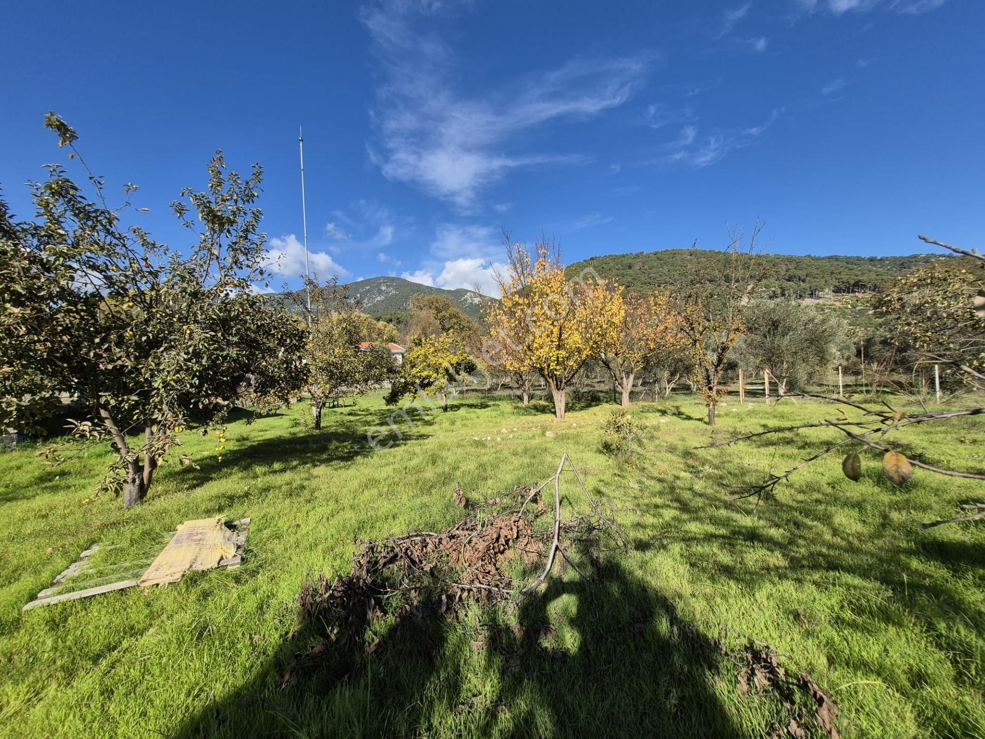 Goldhouse Dan Satılık İncirköy De Fırsat 4260m2 İçinde 2 Adet Müstakil Konut - Görsel 12
