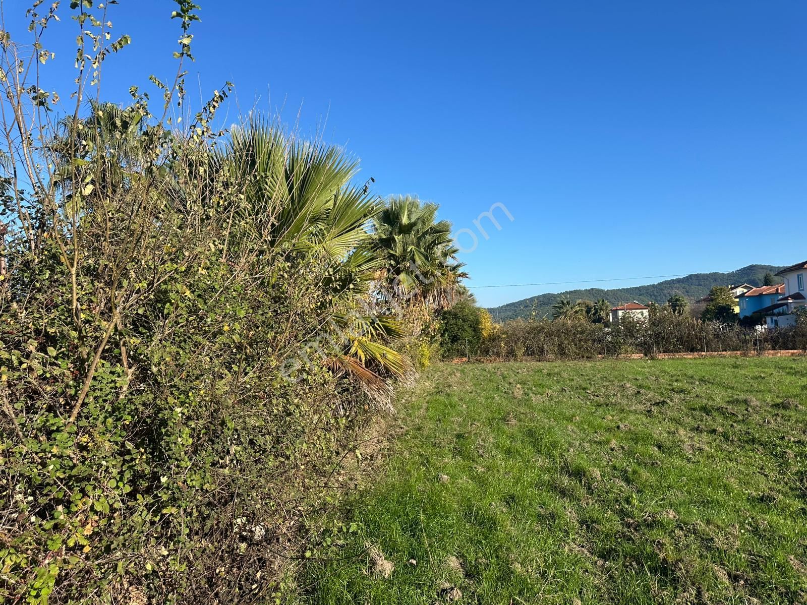 Dalyan Okçular Da 500 M2 Arsa Satılık - Görsel 2