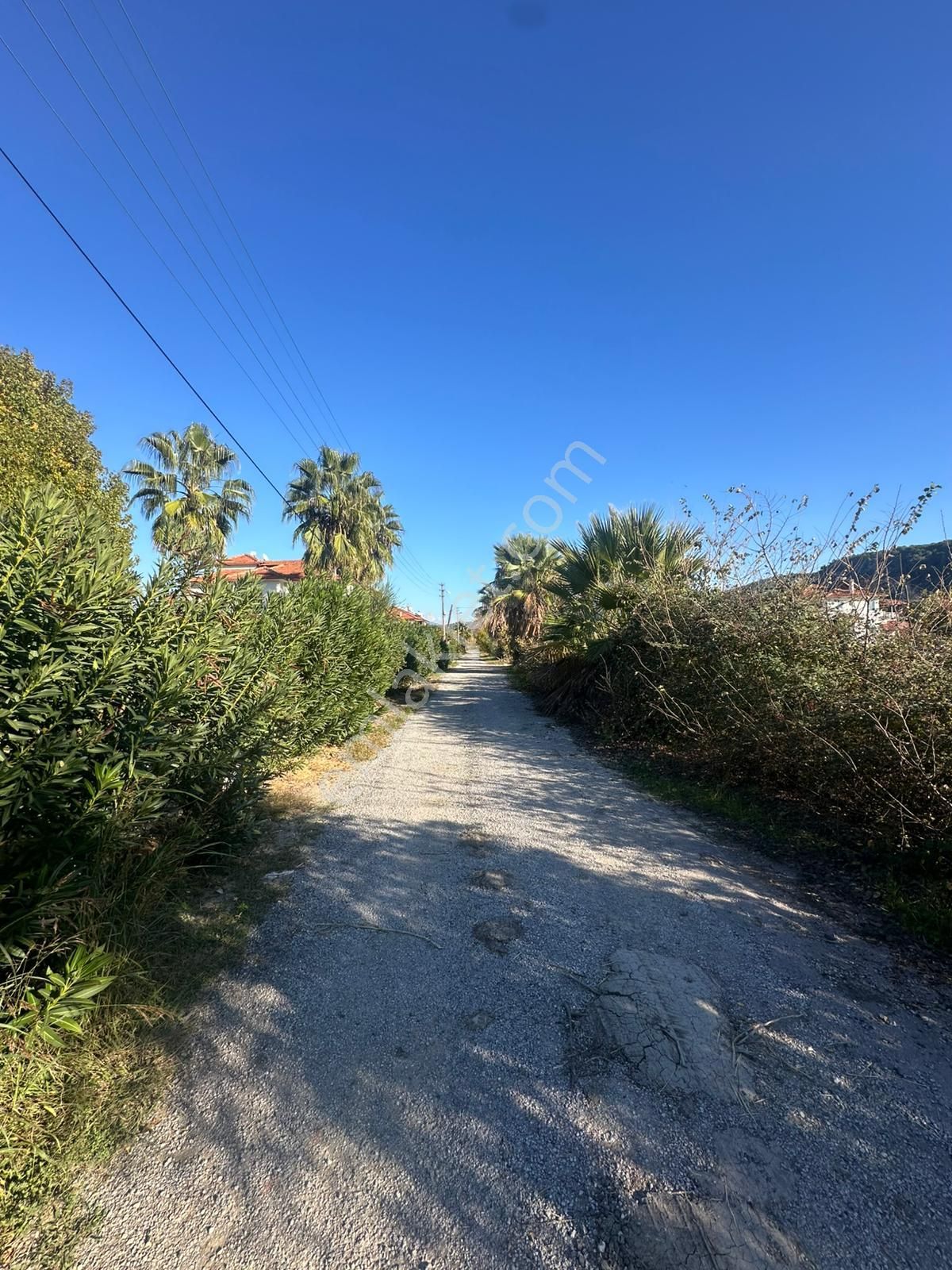 Dalyan Okçular Da 500 M2 Arsa Satılık - Görsel 8