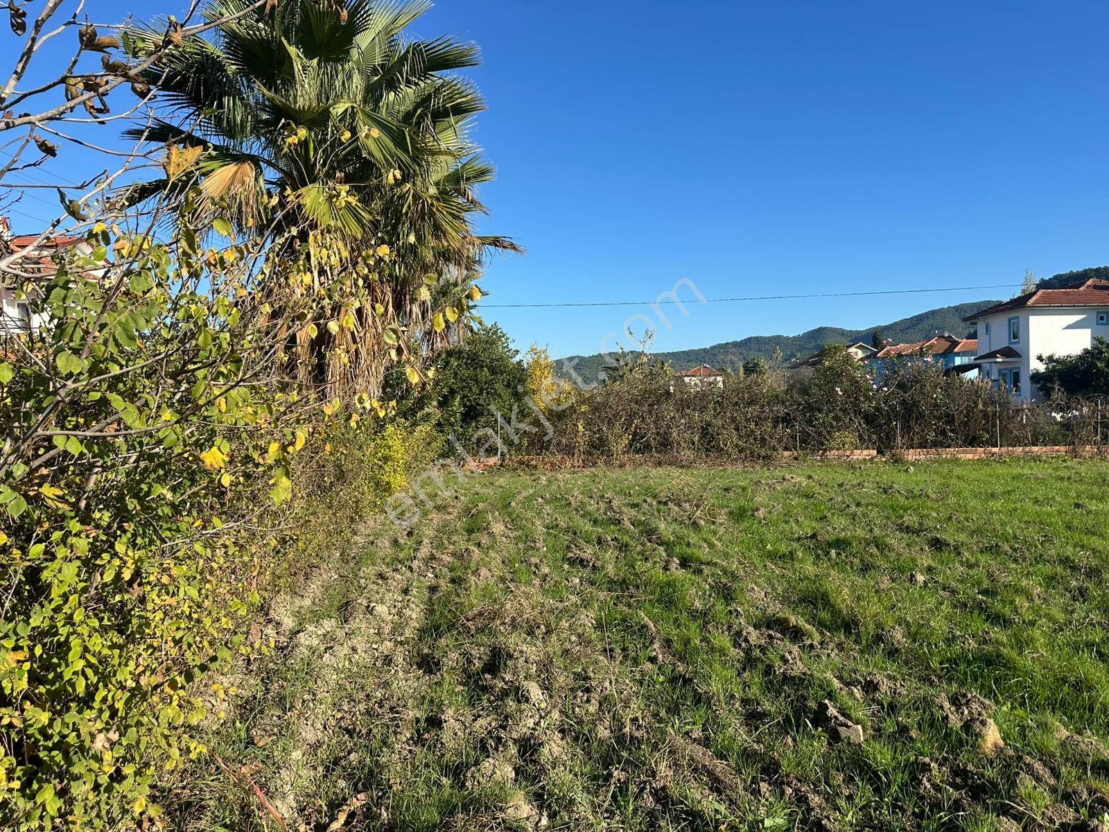 Dalyan Okçular Da 500 M2 Arsa Satılık - Görsel 5