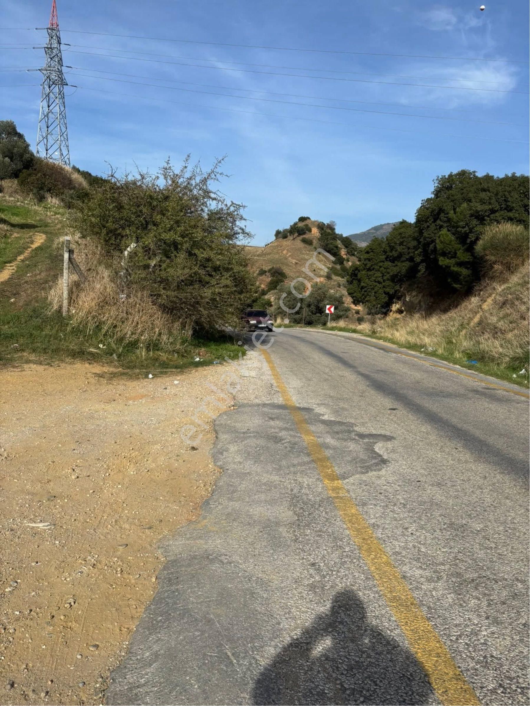 Aydın Danişment Köyünde Satılık Zeytinlik - Görsel 5