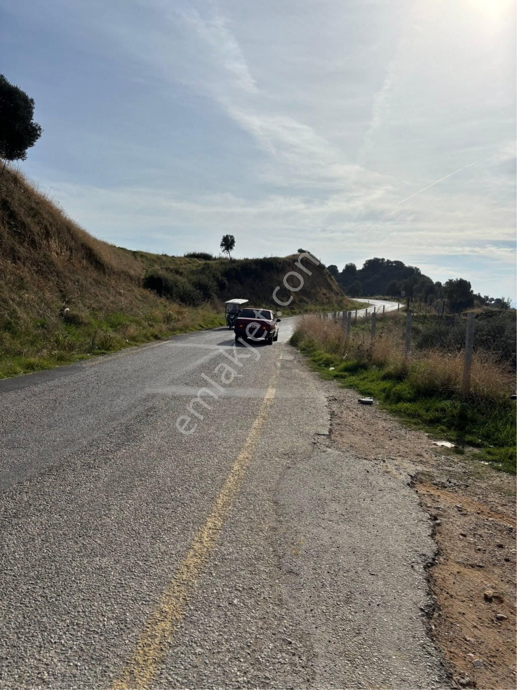 Aydın Danişment Köyünde Satılık Zeytinlik - Görsel 2